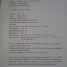 Vasama, Lausala Tilkkumosaiikkia - pikkukuva 2