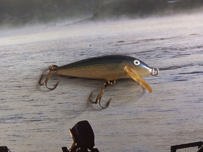 Rapala original 5