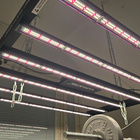 Lumatek Zeus 600W Pro 2.9 LED-kasvivalo 2kpl - pikkukuva 5