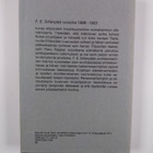 Panu Rajala : F. E. Sillanpää vuosina 1888-1923 - pikkukuva 2