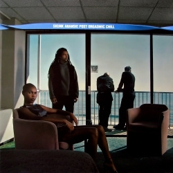 Skunk Anansie - Post Orgasmic Chill (CD)