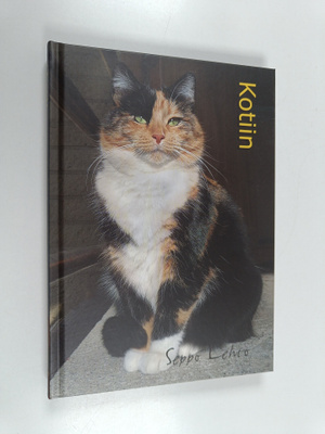 Seppo Lehto : Kotiin