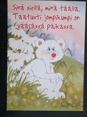 KULKEMATON ANNA RINNE ANKI KORTTI KAIPAAVA KARHU