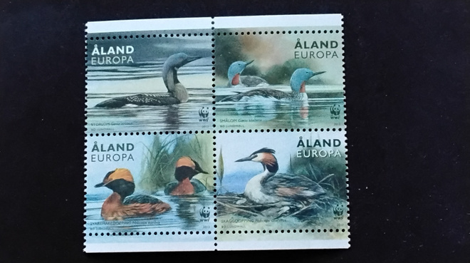 åland 2013 kuikkia ja uikkuja europa**