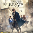 Fantastic Beasts and Where To Find Them - (Blu-ray) - pikkukuva 1