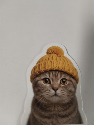 Kissa tarra.