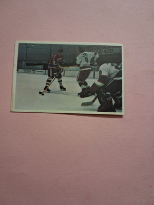 Panda. Jääkiekkokoulu. 59.