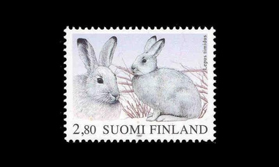 1375 ** Metsäjänis (1997)
