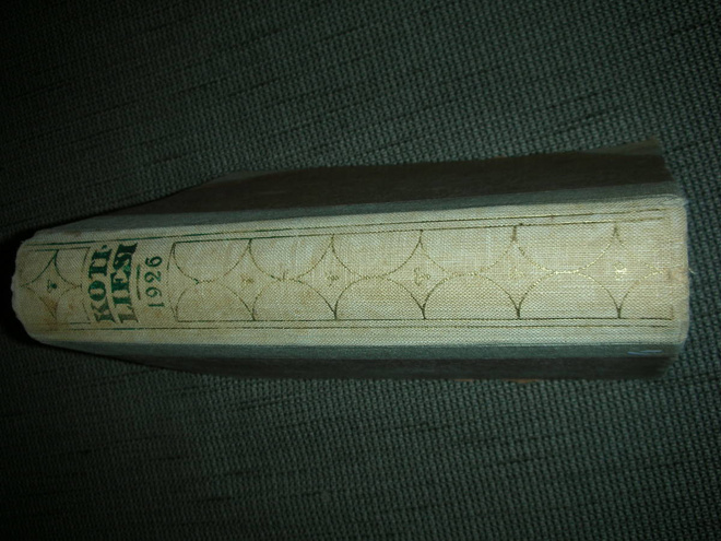 Kotiliesi 1926 vuosikerta kirja