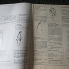 Uuden Ajan Aura # 1/1980 - pikkukuva 2