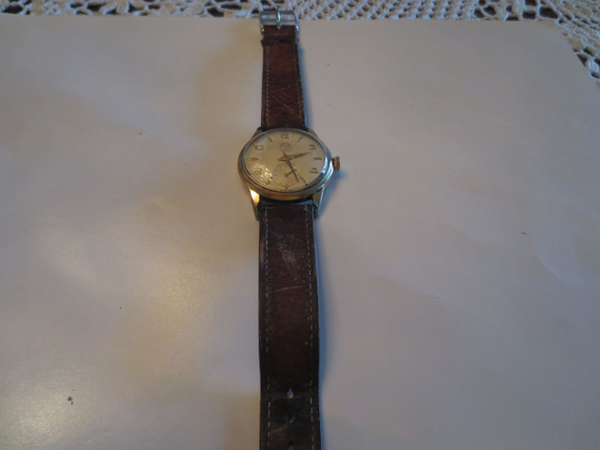Miesten Rannekello Leijona, 17 Jewels