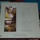 VICTORIA WILLIAMS ~ Swing The Statue! ~ LP - pikkukuva 2