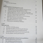 Johtamisen suuri haaste - Mahatma Gandhin ajatuksia - pikkukuva 4