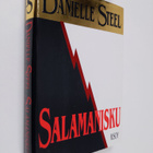 Danielle Steel : Salamanisku - pikkukuva 1