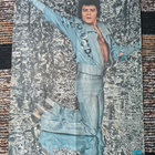 Gary glitter intro lehden -73 juliste - pikkukuva 1