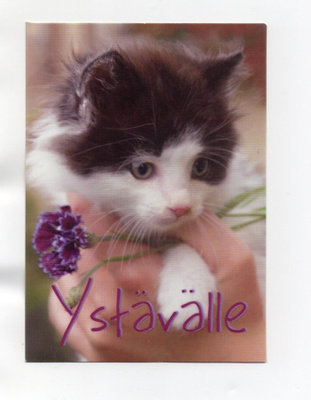 Kissa... °°YSTÄVÄLLE°°- KORTTI / Kulkematon (Kimalletta)