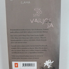 Johanna Venho : Ensimmäinen nainen : romaani - pikkukuva 2