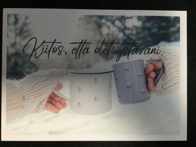 KIITOS, ETTÄ OLET YSTÄVÄNI. POSTIKORTTI.  6 KPL.