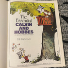 THE ESSENTIAL CALVIN AND HOBBES / A CALVIN AND HOBBES TREASU - pikkukuva 2