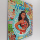 Emily Skwish : Look and Find : Moana - pikkukuva 1