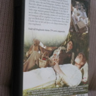 5DVD Mennyt maailma Brideshead revisited ( 1981 ) - pikkukuva 2