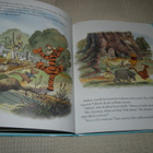 Disney Ruun luontoretki - pikkukuva 2