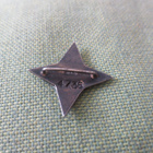 Lotan Kurssimerkki Hopeaa - pikkukuva 2