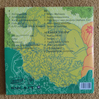 Pyhimys - Salainen Maailma 2LP - pikkukuva 2