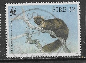 Hilleri, Irlannista, WWF