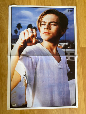 Leonardo DiCaprio juliste