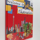 Rouven Wollenschlaeger : Welcome to Shanghai - pikkukuva 1
