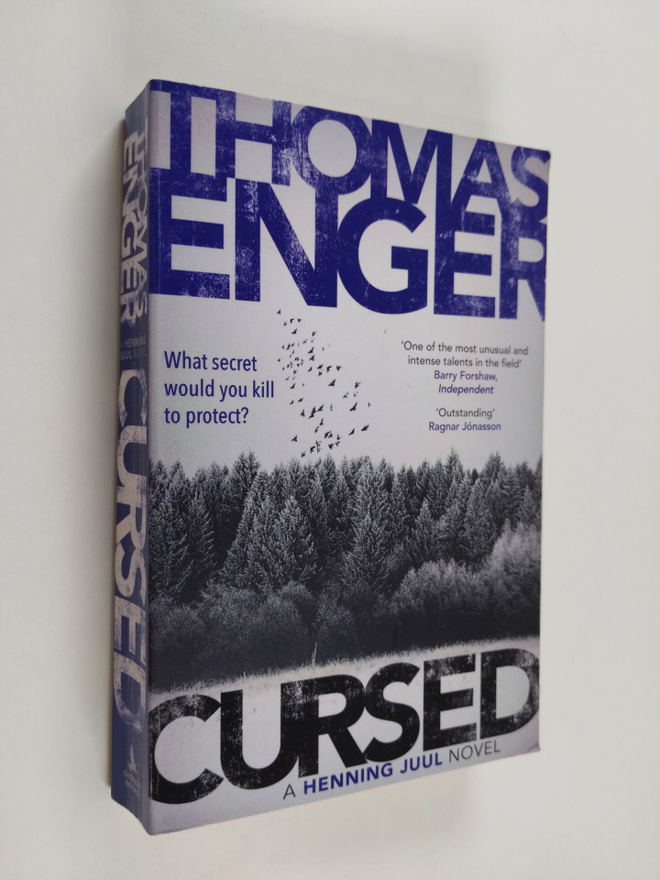 Thomas Enger : Cursed : a crime novel - Henning Juul novel