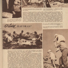 Kotiliesi n:o 10 1954 Tervetuloa meille, milloin vain. - pikkukuva 3