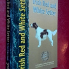 Irish Red and White Setter (2003) - pikkukuva 1