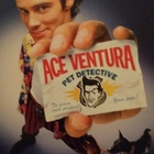 Ace ventura - Lemmikkidekkari - pikkukuva 1