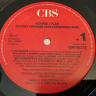 BONNIE TYLER - Secret Dream And Forbidden Fire - pikkukuva 2