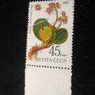 CCCP 1985: Siperian kasveja - pikkukuva 5