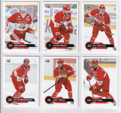 2021-22 Cardset Series 1 Sport Team Set 12 korttia (133-144)