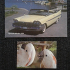 PLYMOUTH BELVEDERE 1959 - pikkukuva 2