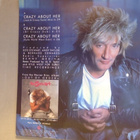ROD STEWART :: CRAZY ABOUT HER :: VINYYLI MAXI 12"   1988 !! - pikkukuva 2