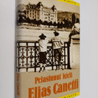 Elias Canetti : Pelastunut kieli : erään nuoruuden tarina - pikkukuva 1