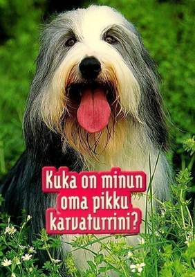 KOIRA 2