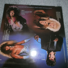 Vinnie Vincent Invasion: Vinnie Vincent Invasion Lp - pikkukuva 2