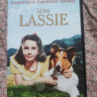 Urhea Lassie - pikkukuva 1