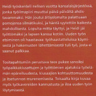 Ilona Korhonen: Työn taso riittämätön - pikkukuva 3