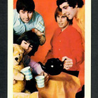 Keräilykuva - The Troggs - pikkukuva 1