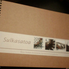 Raija Puukko: Sulkasatoa (ekotaidetta kierrätysmat.)Sis.pk:t - pikkukuva 1