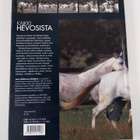 Jane Holderness-Roddam : Hevosia! : rotuja, urheilua, kou... - pikkukuva 2