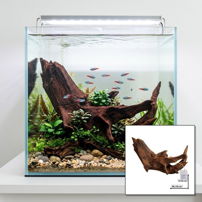 Uniikki akvaariojuurakko 38 cm | nr115A