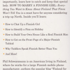 Phil Schwarzmann: How to marry a Finnish girl - pikkukuva 3